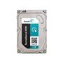 Obrázek z Seagate HDD1000S 24/7 sata disk 