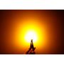 Obrázek z LED T10 oranžová, 12V, 13LED SMD 
