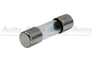 Obrázek z Trubickova sklenena pojistka 20x5mm 