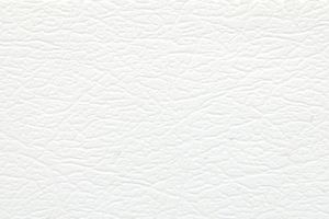 Obrázek z Imitace kuze bila 