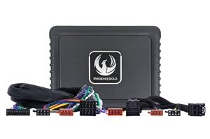 Obrázek z Phoenix Gold ZDAP-FORD1 