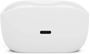 Obrázek z JBL Wave Buds2 White 